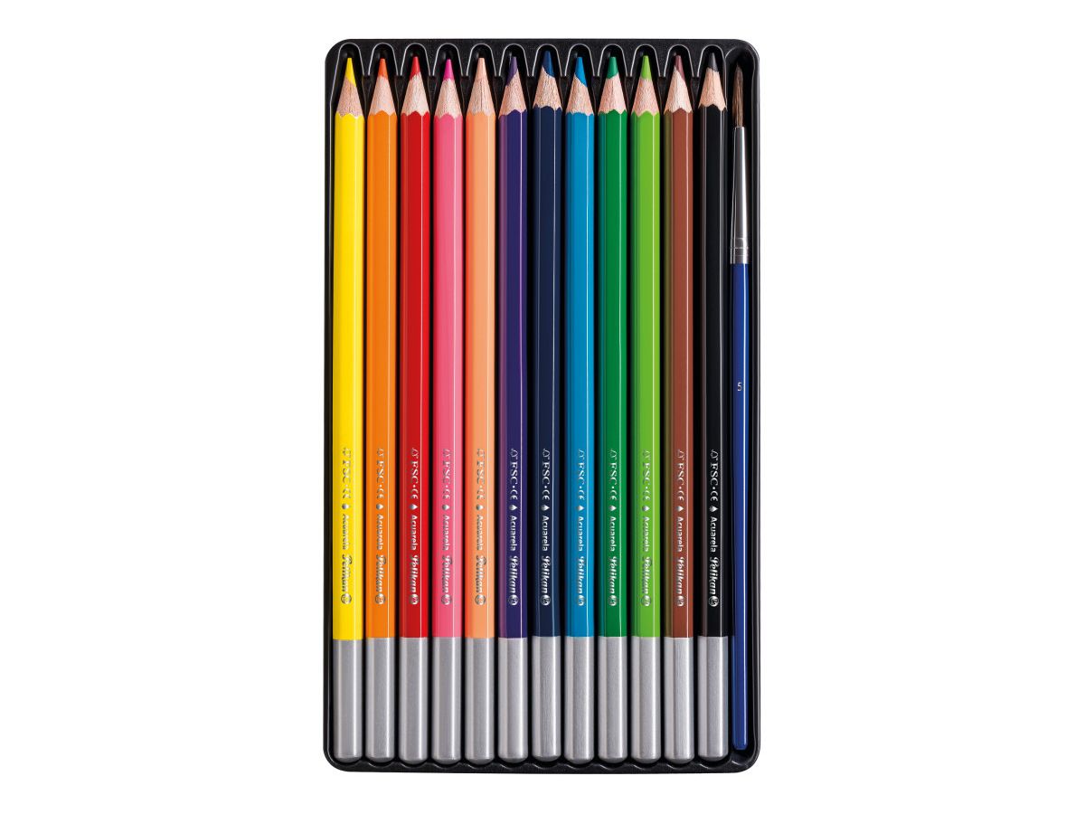PELIKAN Acquerello con spazzola 700672 12 colori (4012700700674)