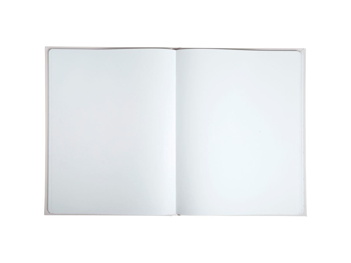 EXACOMPTA Livre d'or 27x22cm 47689E ivoire,coupe d'argent 100 p. (3130630476894)