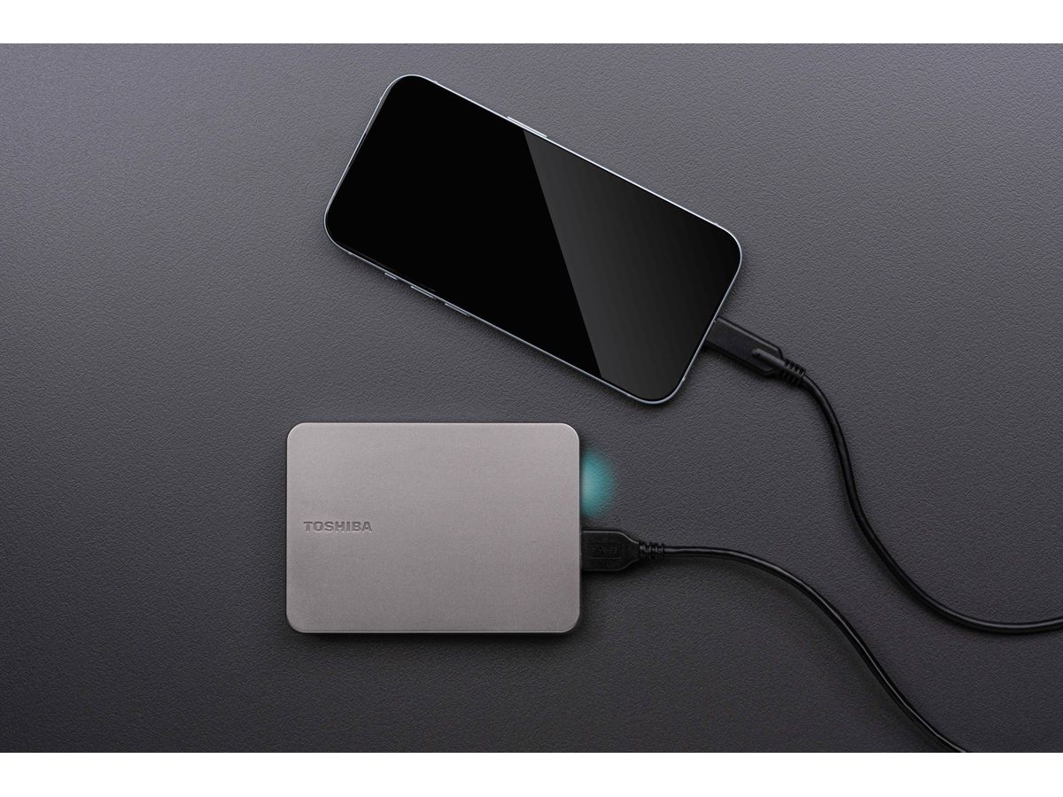 TOSHIBA HDD CANVIO Flex 1TB HDTX210ESCAA USB 3.2 2.5 inch warm silver (4260557513262)