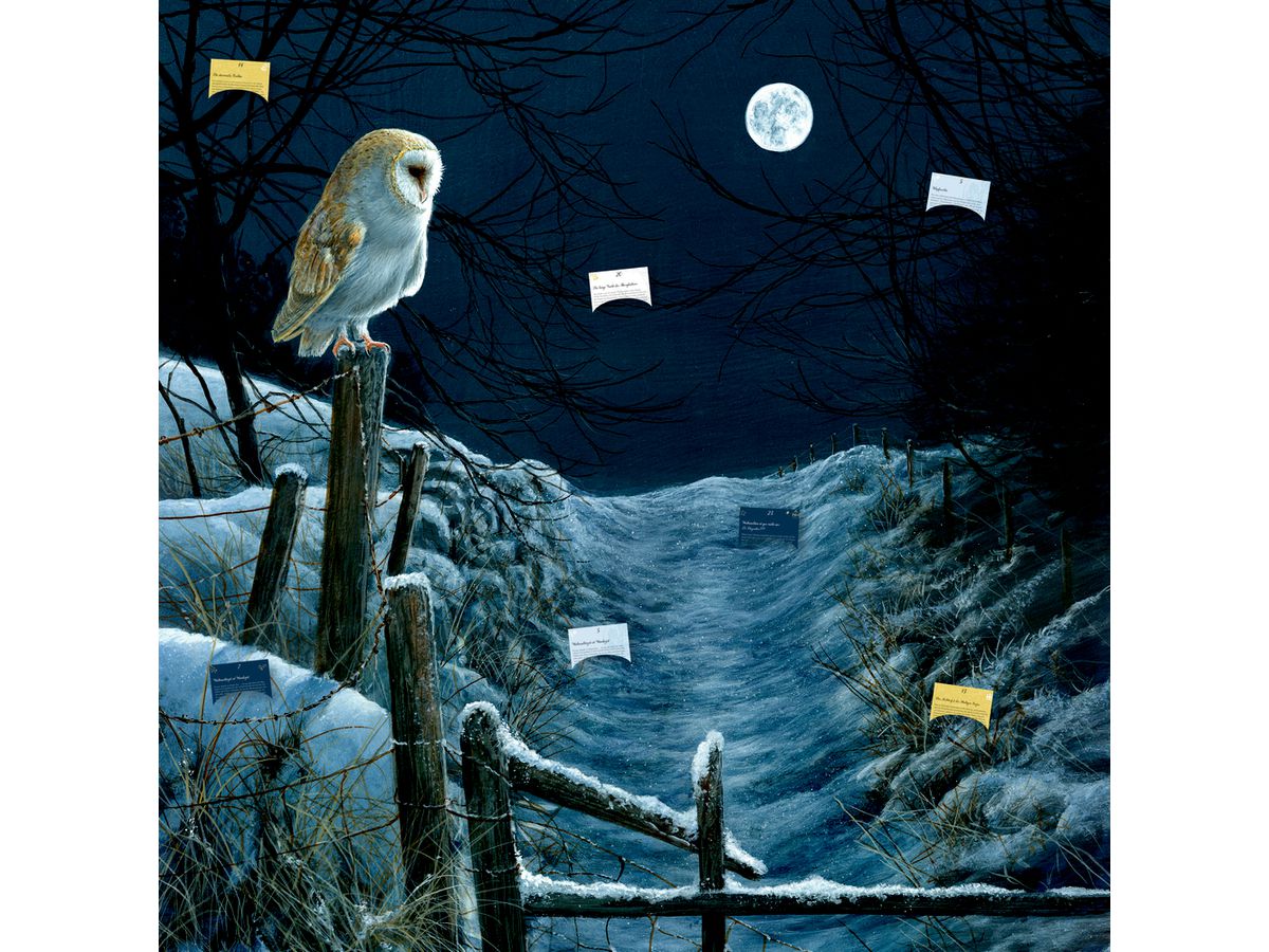 COPPENRATH Zettelkalender 72562 Magie u. Mythos der Weihnacht (4050003725628)