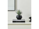 EGLO Plante artificielle 20cm 428496 vert, en pot (9008606367955)