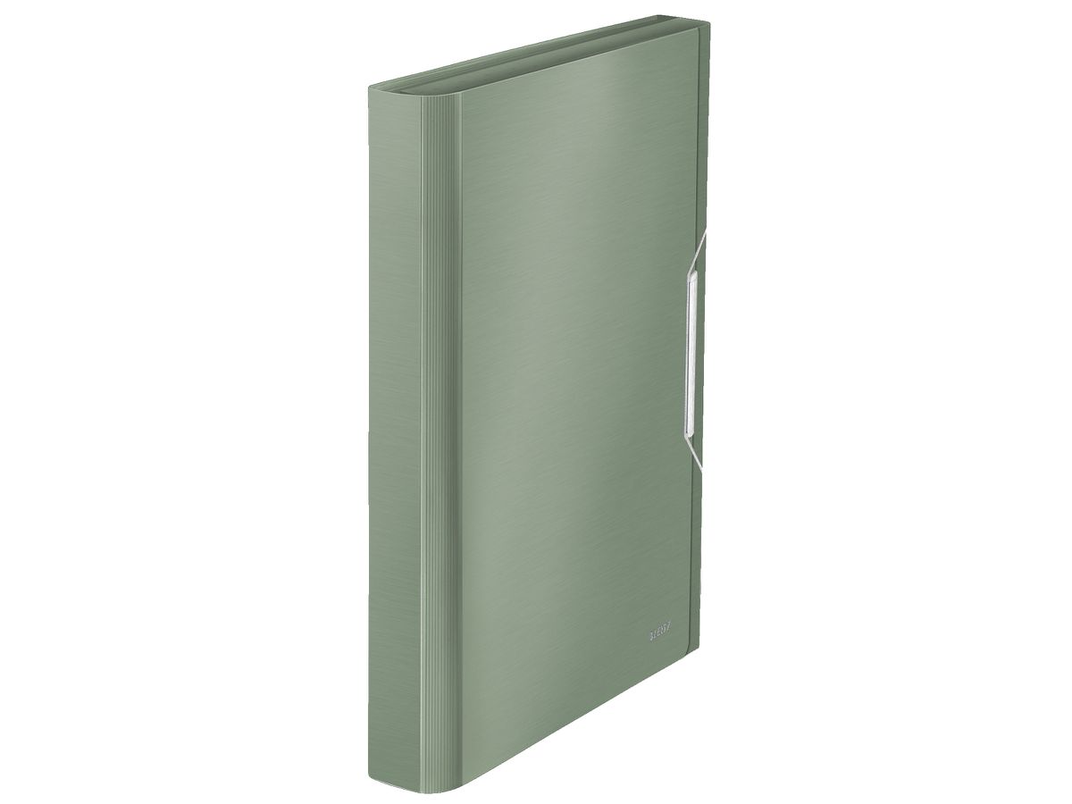 LEITZ Dossier archivio Style PP A4 39570053 celadon verde 6 scomp.200 fl. (4002432108121)
