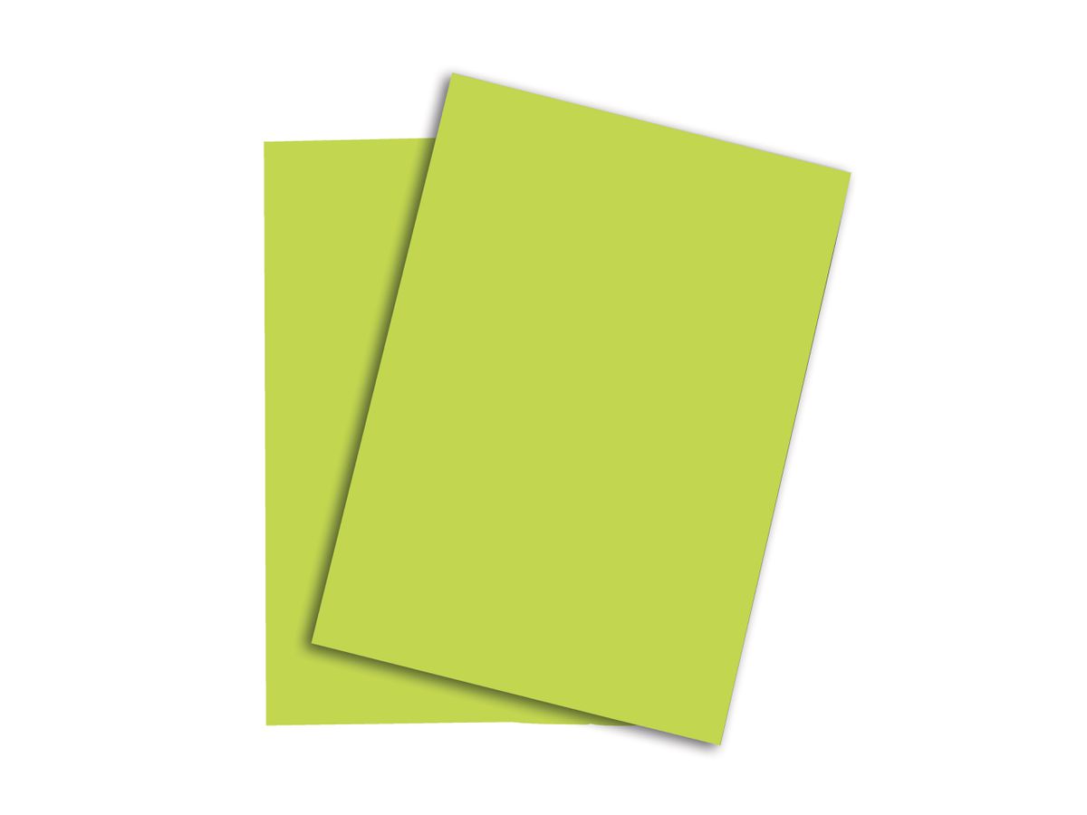 PAPYRUS Rainbow Paper FSC A4 88043138 160g, verde 250 fogli (7318761044304)