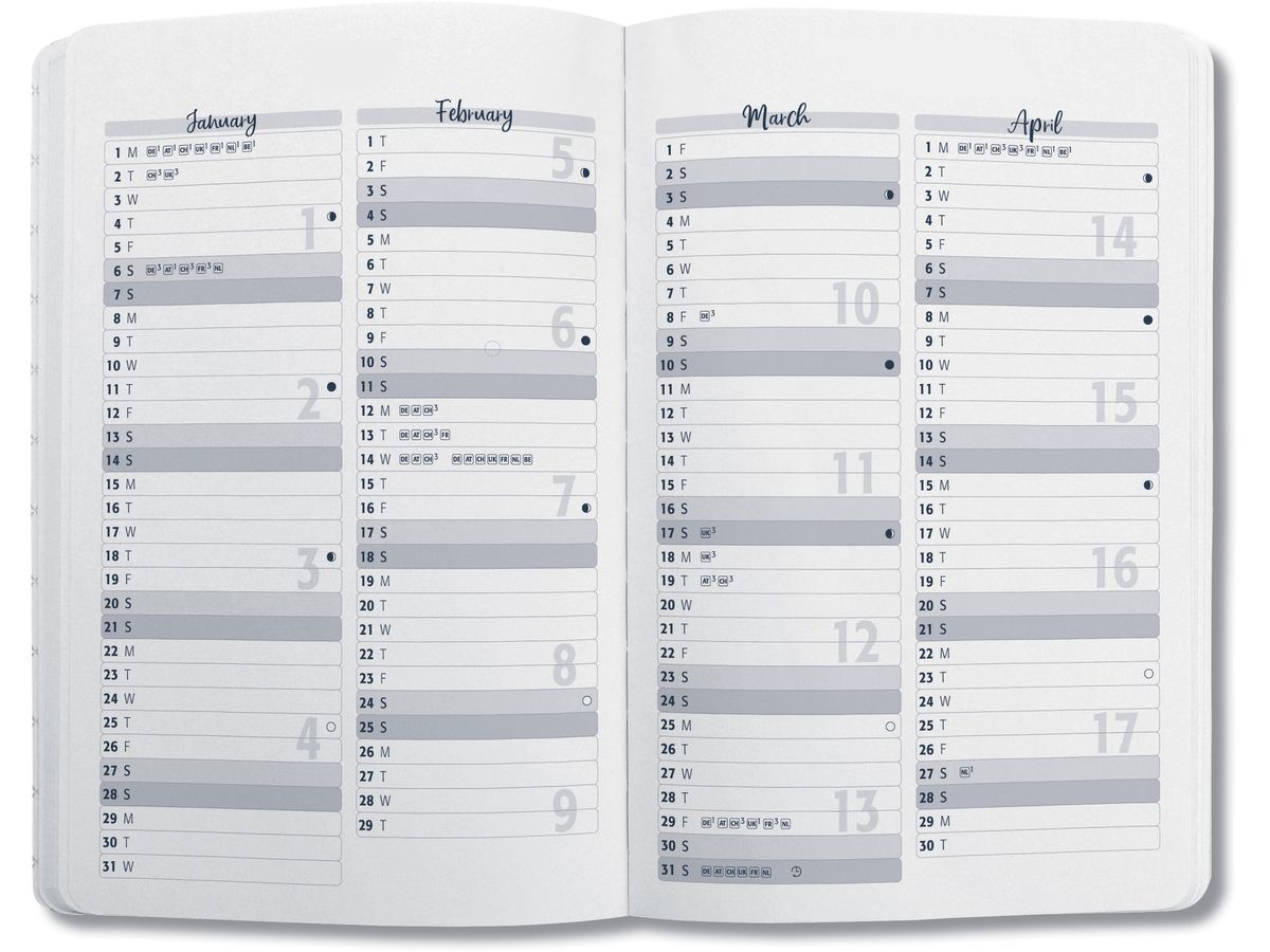 JOLIE Agenda Pure 2026 J6809 1S/2P sunlight ginkgo ML A5 (4004360769955)