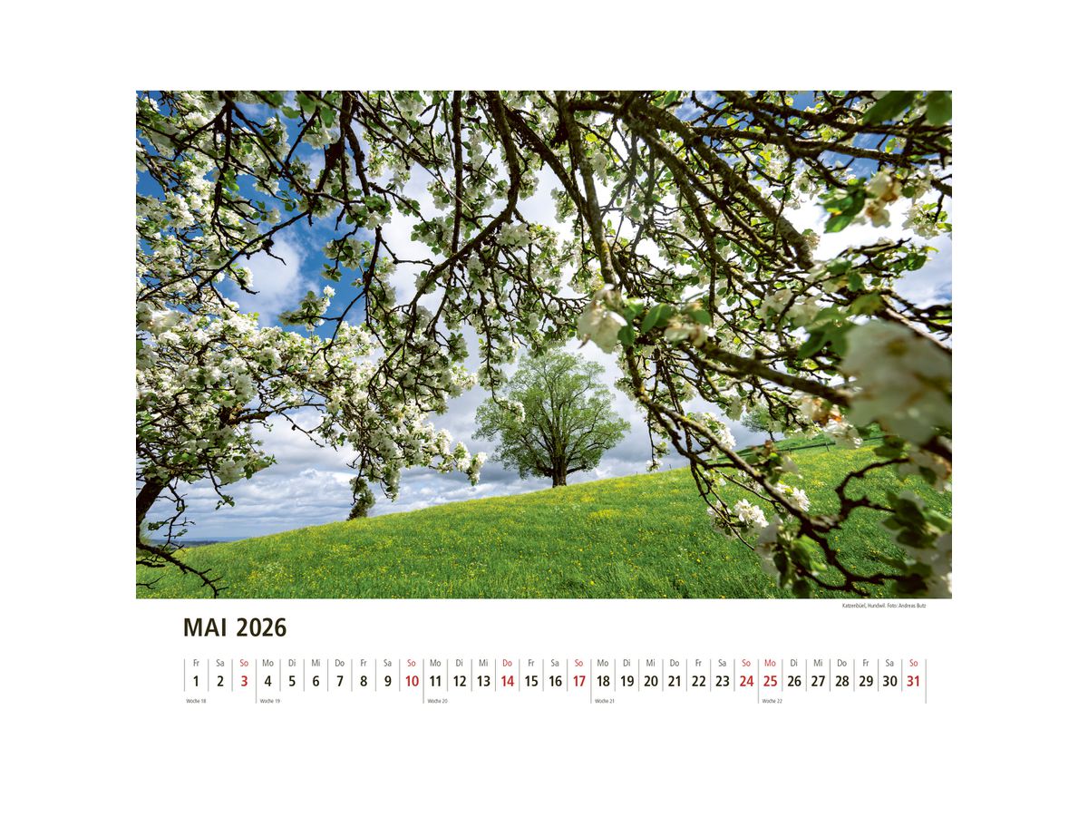 APPENZELLER Bildkalender 2026 9783858829047 Appenzeller DE 40x31cm (9783858829047)