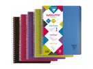 CLAIREFONTAINE LINICOLOR Cahier A4+ 329156 L8+MC 120 feuilles (3329683291565)