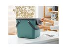 ROTHO Boîte de recyclage Albula 40lt 1034405092 Mistletoe green 358x340x400mm (7610859225597)
