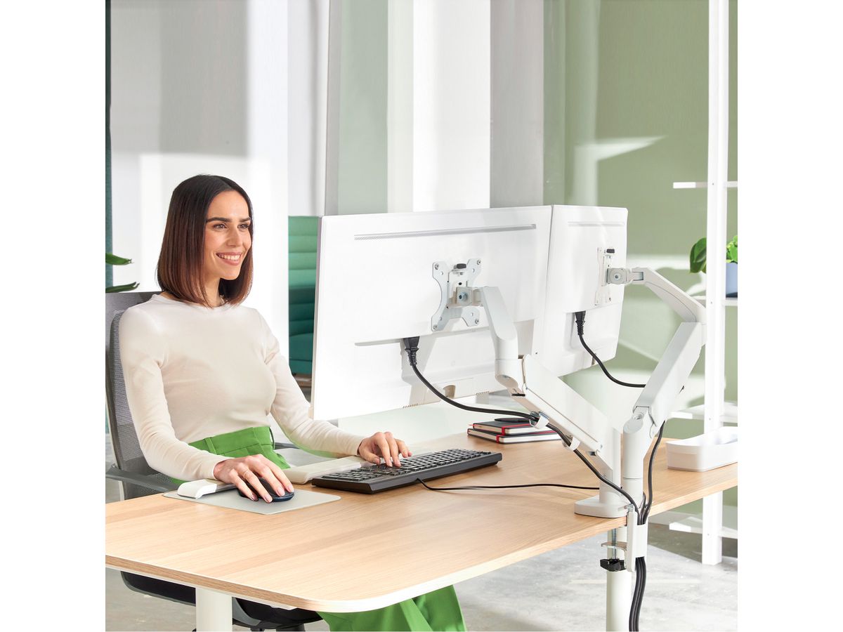 LEITZ Support de moniteur 6537-00-85 Gris, dual (4002432134670)