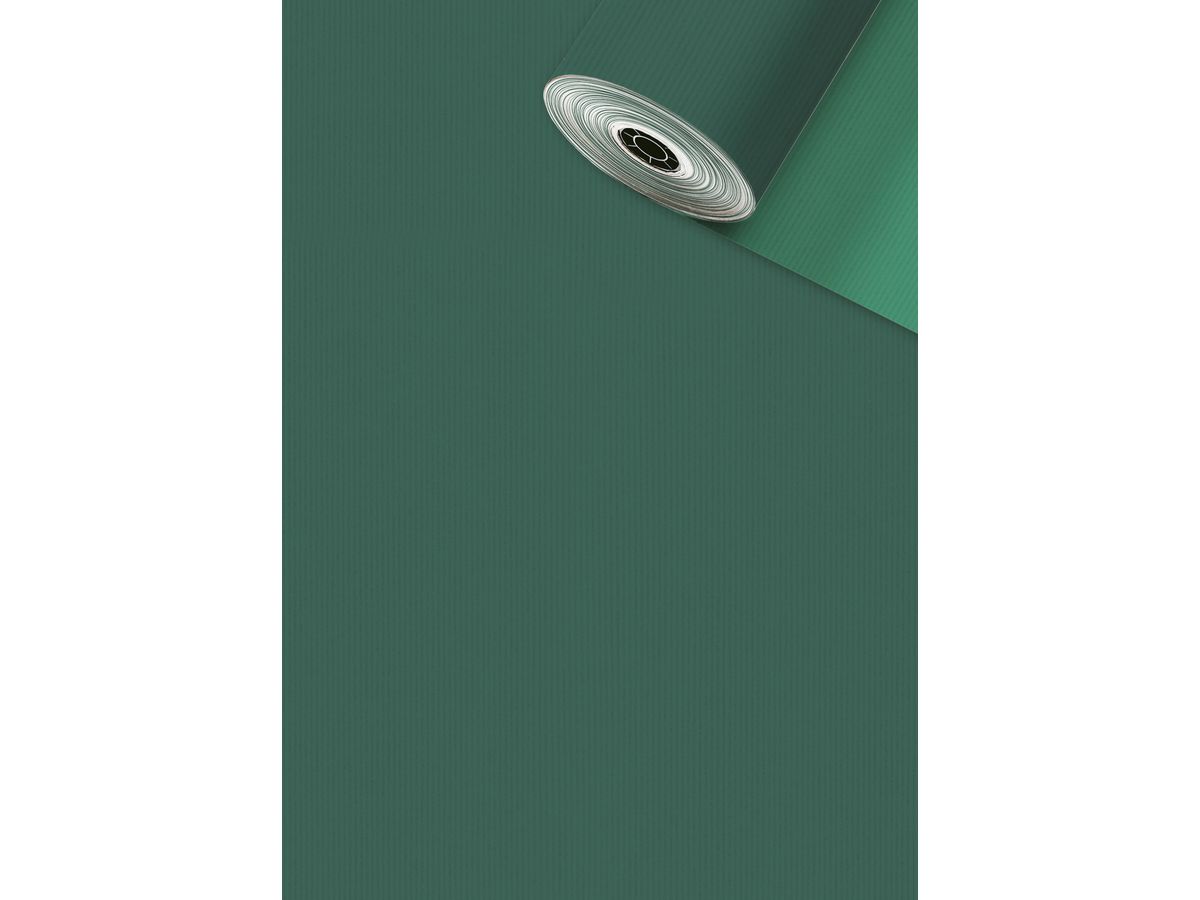 STEWO Apparaterollen 2522658247 Uni Duplo 0.5x250m (7630050877111)