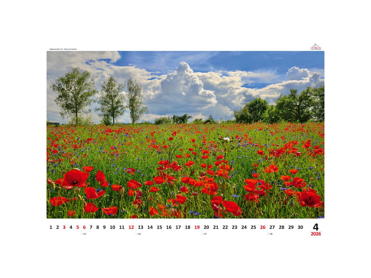 CALENDARIA Bildkalender 2026 9783036205250 Impressionen ML 48x33cm (9783036205250)