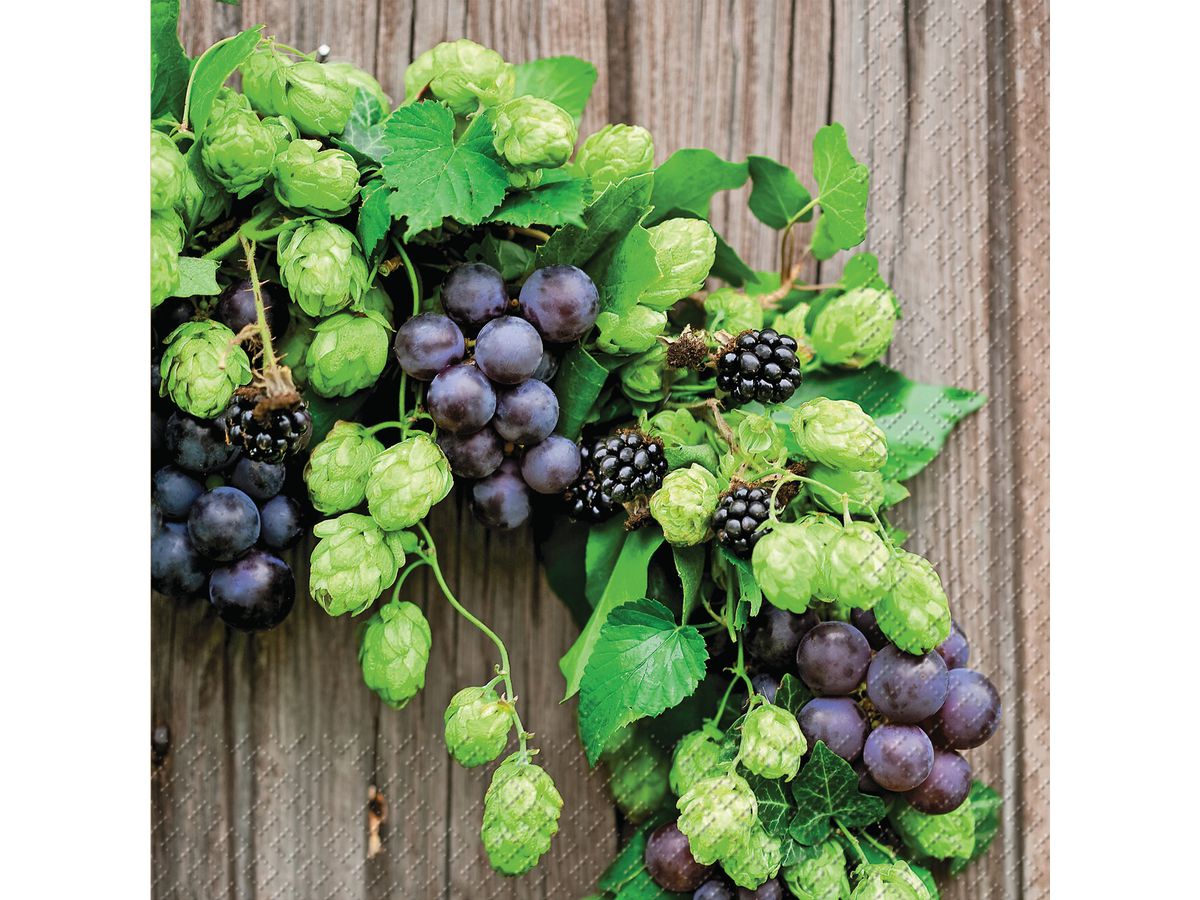 STEWO Serviette Benedikt 33x33cm 2572607745 grün 20 Stück (7630050812921)