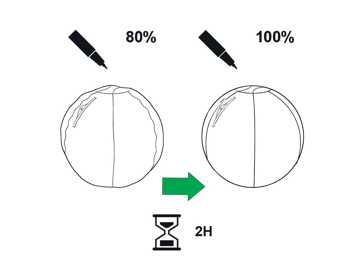 LEITZ Balle assise Ergo Active 55cm 6541-00-89 gris (4002432134755)