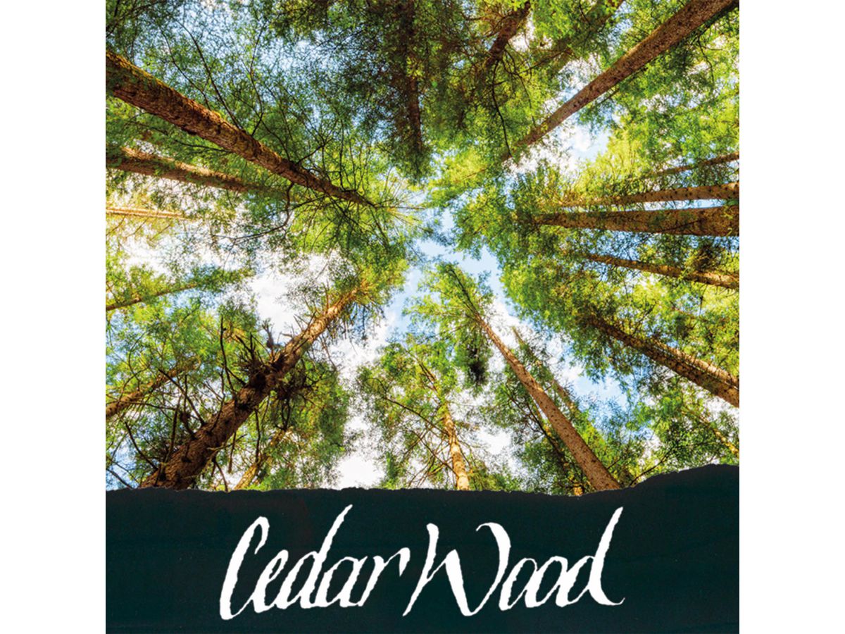 ONLINE Inchiostro 15ml 17061/3 fragrante Cedar Wood, black (4014421170613)