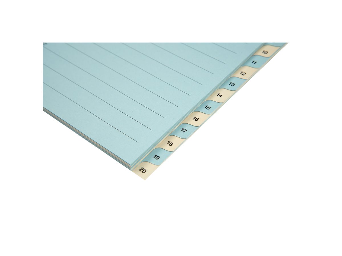 BIELLA Répertoires carton 210g A4 46244200U bleu/jaune 1-20 (7611365231515)