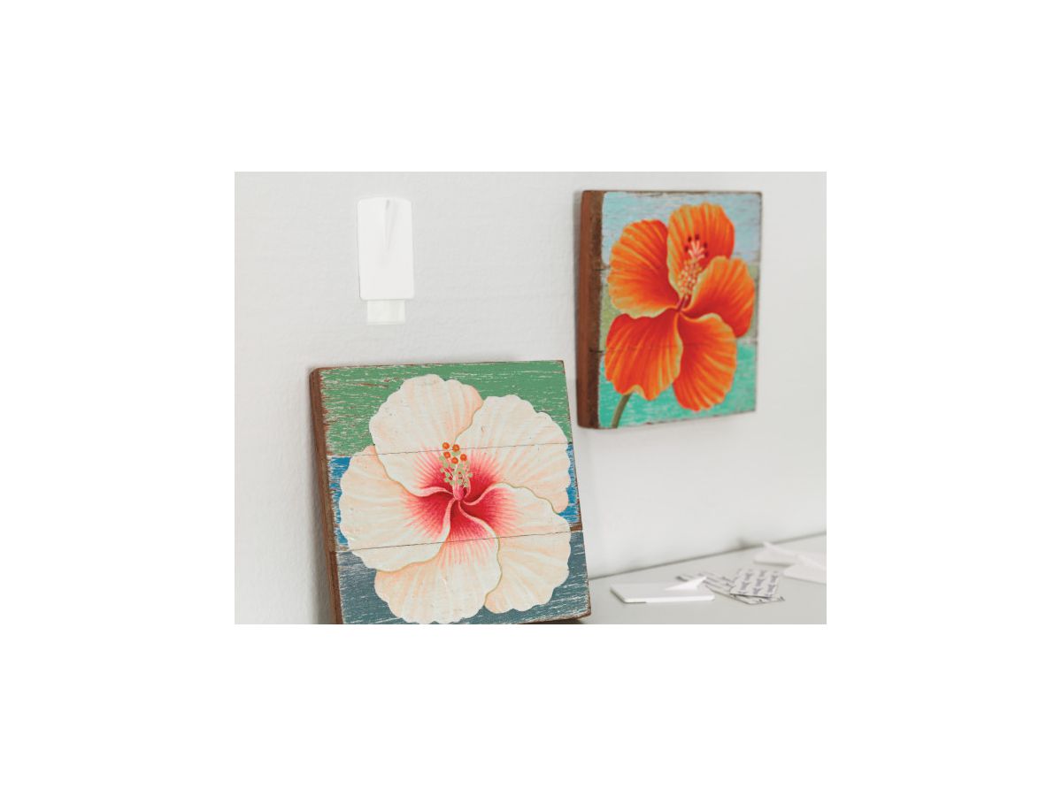 TESA Powerstrips Bilder-Nagel 580310002 weiss, Kapazität 1kg 2 Stück (4042448105707)