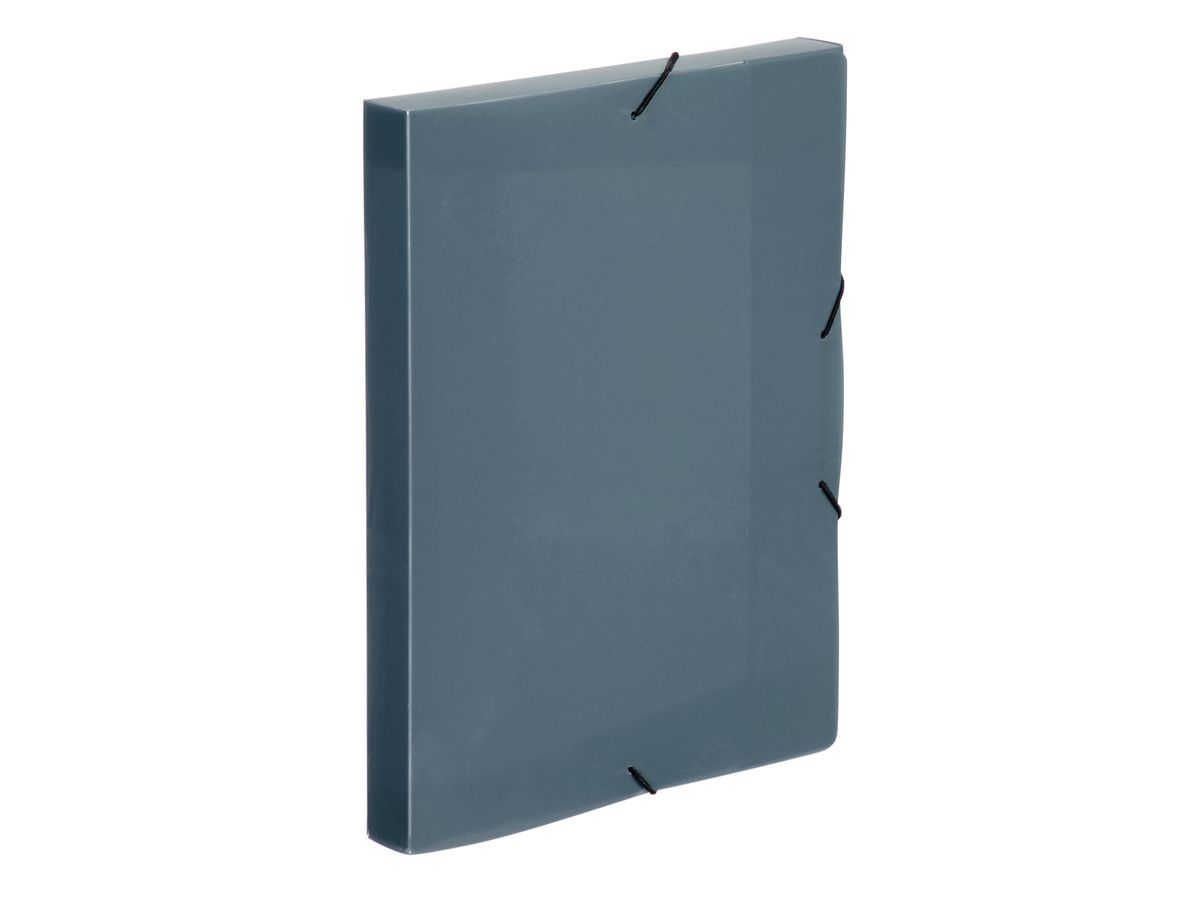 VIQUEL Cool Box A4 021338-09 gris-transp. (3135250213386)