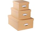 EXACOMPTA Ablagebox OfficeByMe 79602E beige 3er-Set (3130630796022)