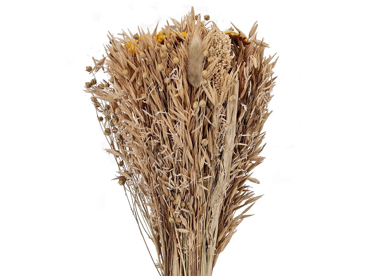 EGLO Fleur séchée 45cm 428049 beige (9008606258734)