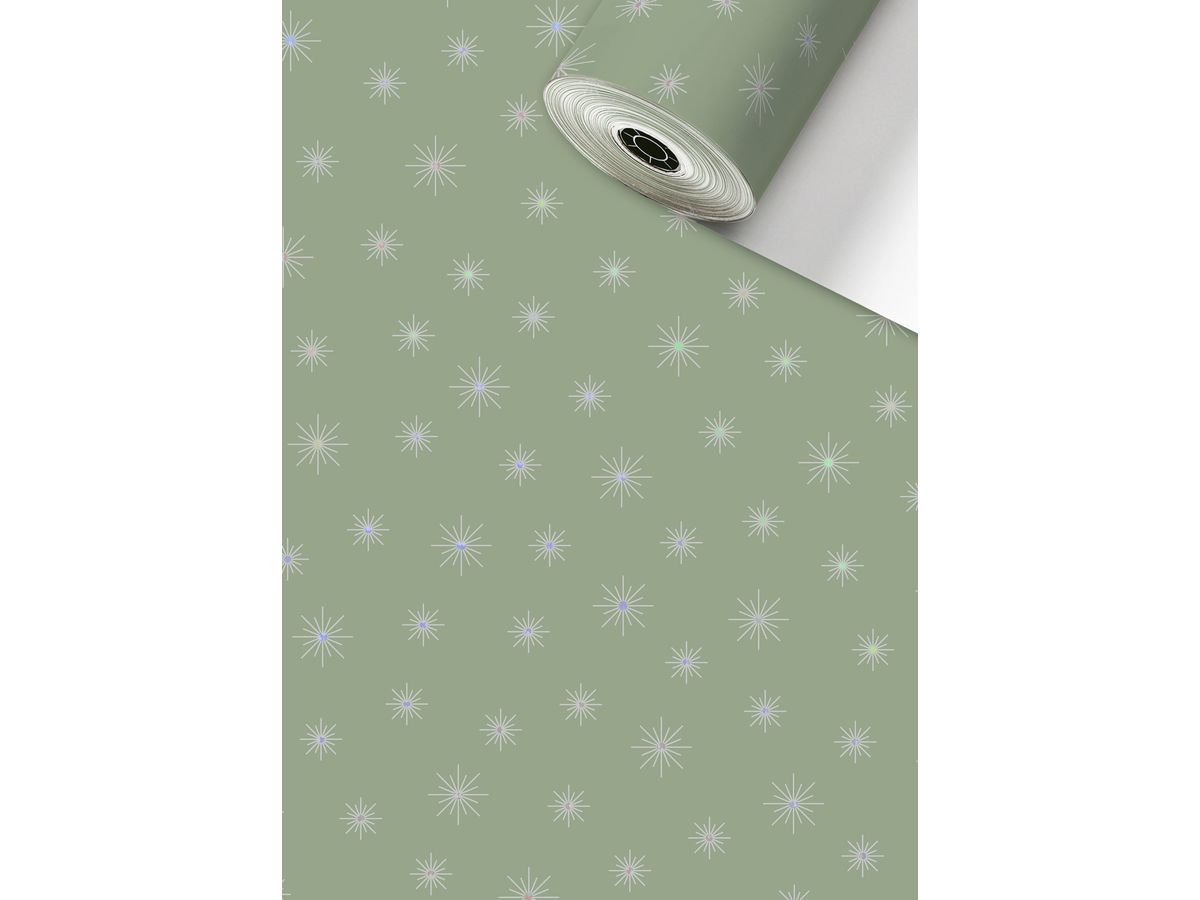 STEWO Appareil rouleaux de papier 2523539048 Airi 0.7x100m (7630050876893)