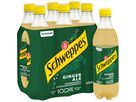 SCHWEPPES Ginger Ale Pet 2368 50 cl, 6 pz. (7617500199221)