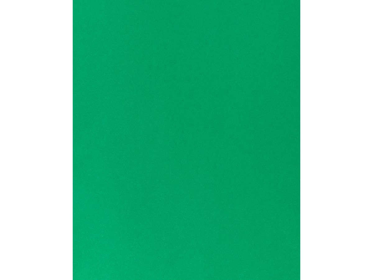 I AM CREATIVE Cartone per foto A4 2903018327 270g, verde abete (8714677254599)