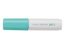 PILOT Marker Pintor 8.0mm SW-PT-B-PG pastell grün (4902505557118)