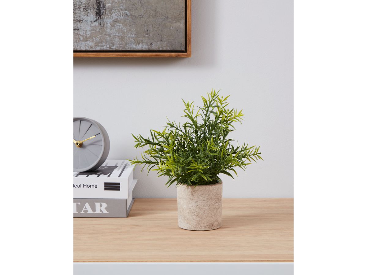 EGLO Pianta artificiale 22cm 428029 verde, in vaso (9008606253470)