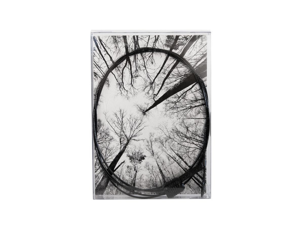 TRENDFORM Liane à photos DAN BLACK TF1150 8 aimants, 150cm (7640111230779)