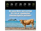 HARENBERG Postkartenkalender 2026 3310183+26 Animal Memes 16x17.5cm (9783840037467)
