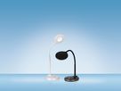 HANSA Lampe de bureau 41-5010.709 LED Splash, blanc (7612176089203)