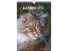 ALPHA EDITION Bildkalender 2026 160493 Katzen ML 23.7x34cm (4069095004931)