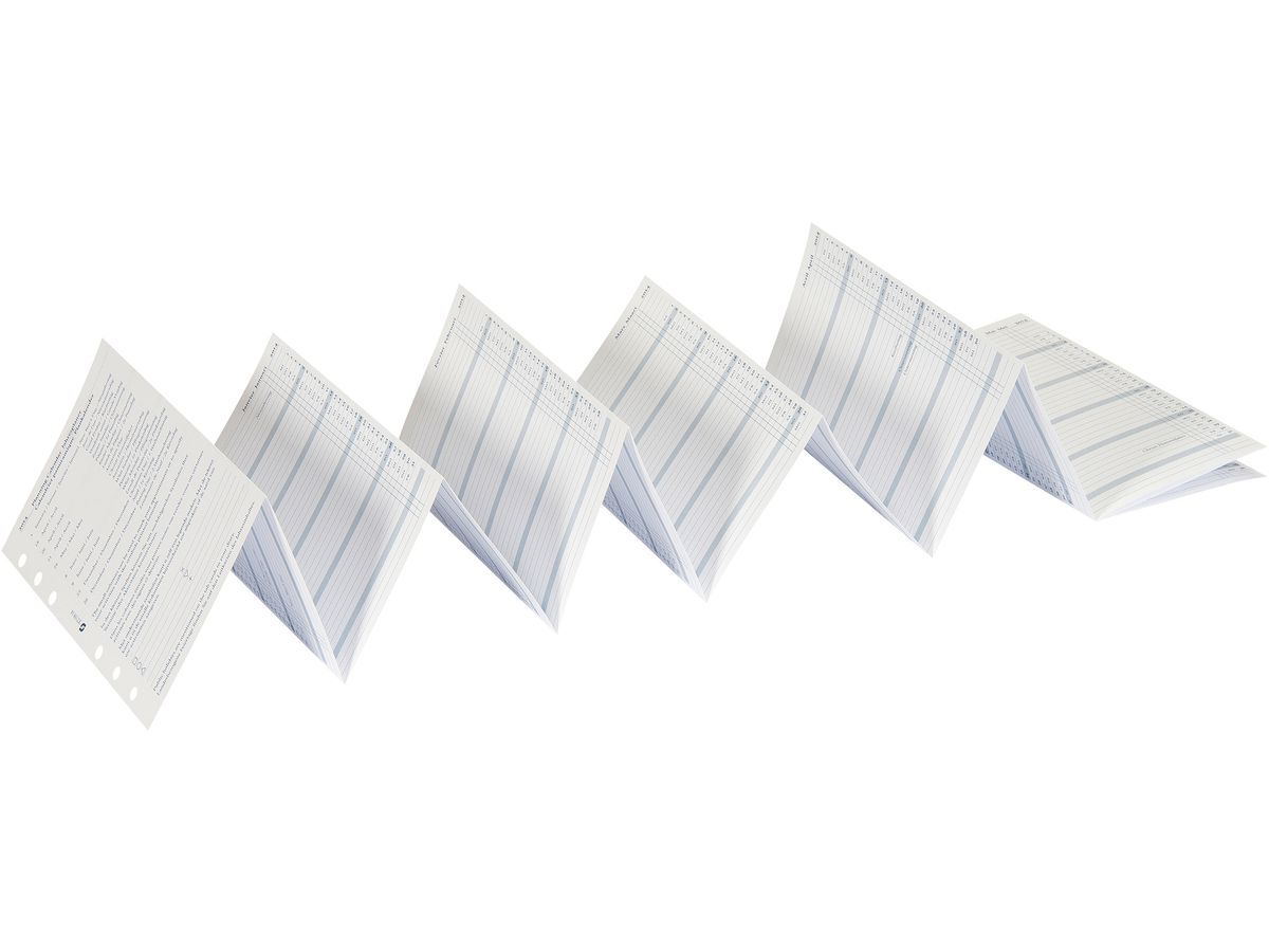 SUCCES Agenda Standard plan.ann. 2026 843159000026 6M/1P plié 9.5x17.1cm (8717481250030)