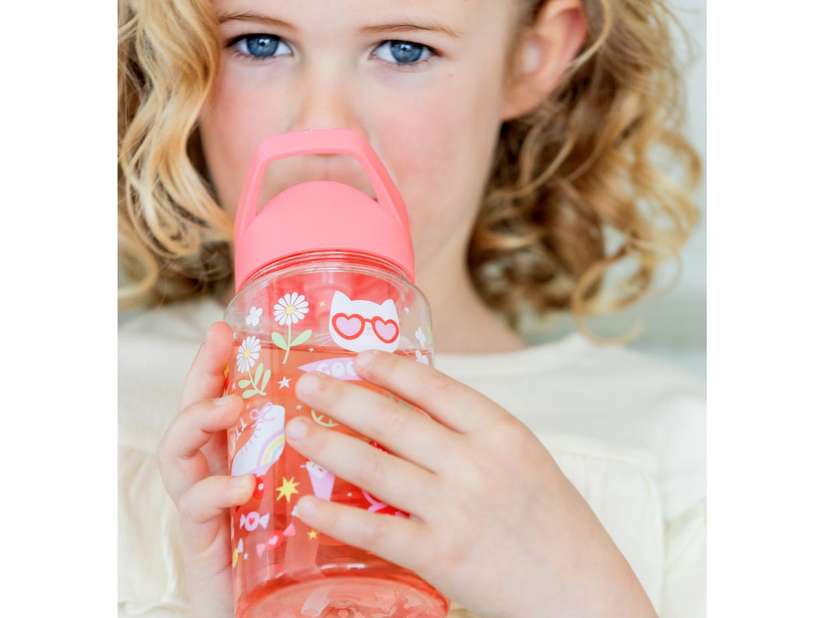 ALLC Gourde 450ml DBFUCO88 Fun (8719715003641)