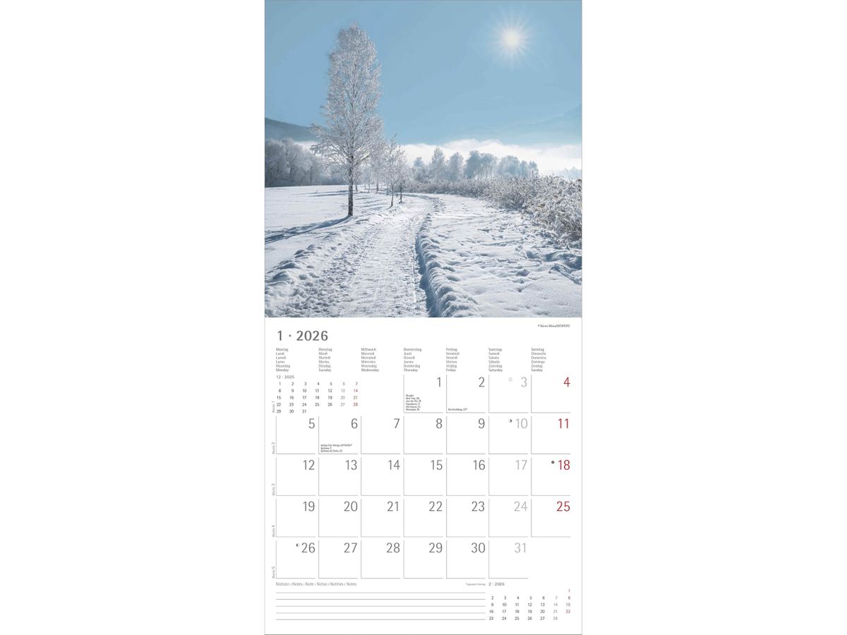 ALPHA EDITION Bildkalender 2026 160325 Wege ML 30x30cm (4069095003255)