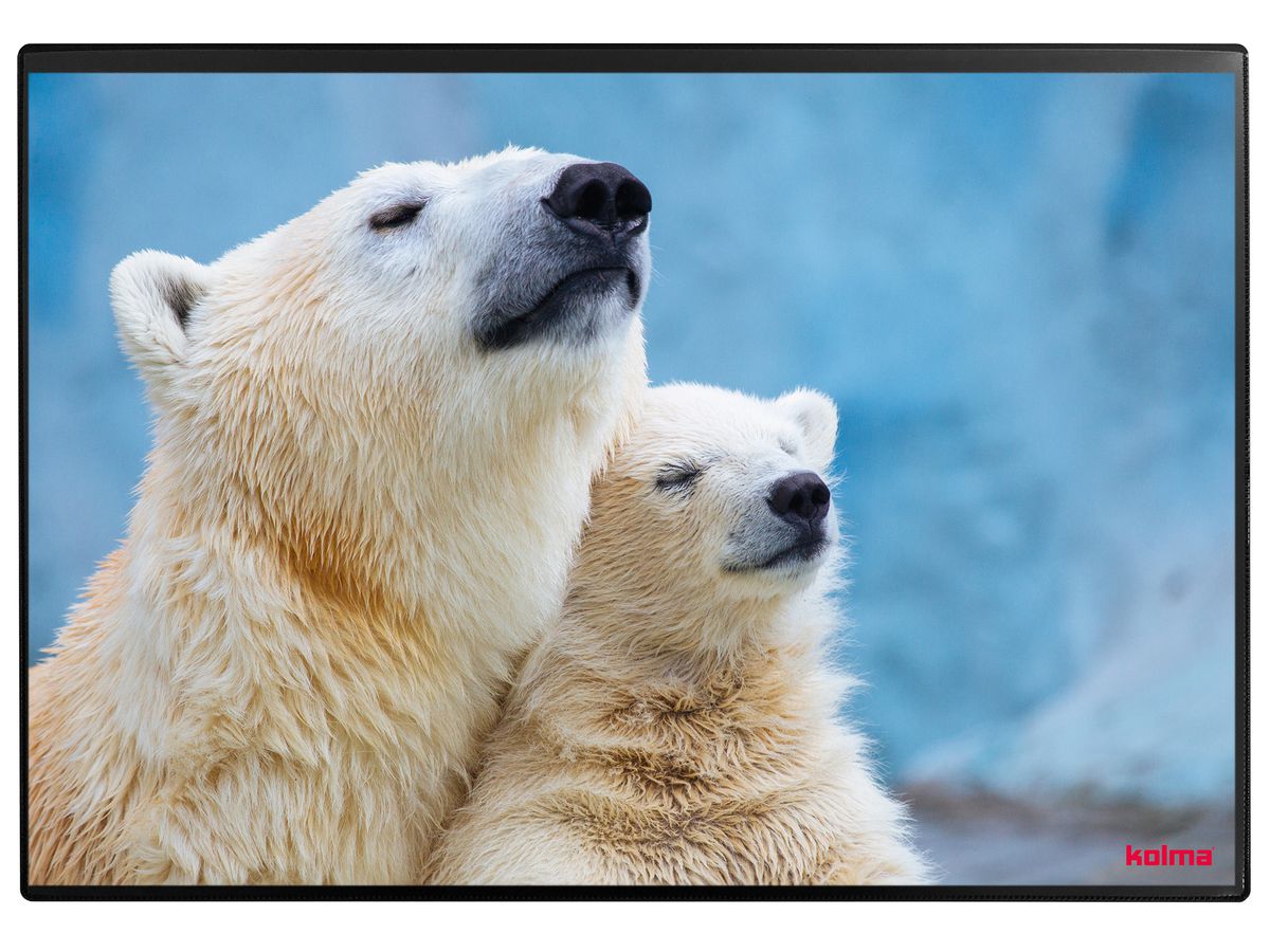 KOLMA Sous-main 35.551.20 Polar Bear 50x34cm (7611967350430)