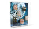 TRENDFORM Aimants OWL FW3542 set de 6 assorti (7640161862616)