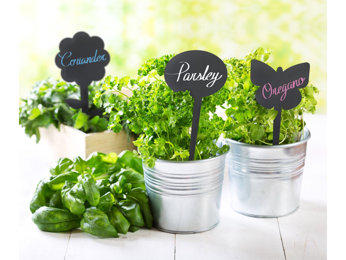 SECURIT Plaque Jardin SILHOUETTE TAG-BUBBLE-5 noir 18x8.1x0.1cm (8718226498991)