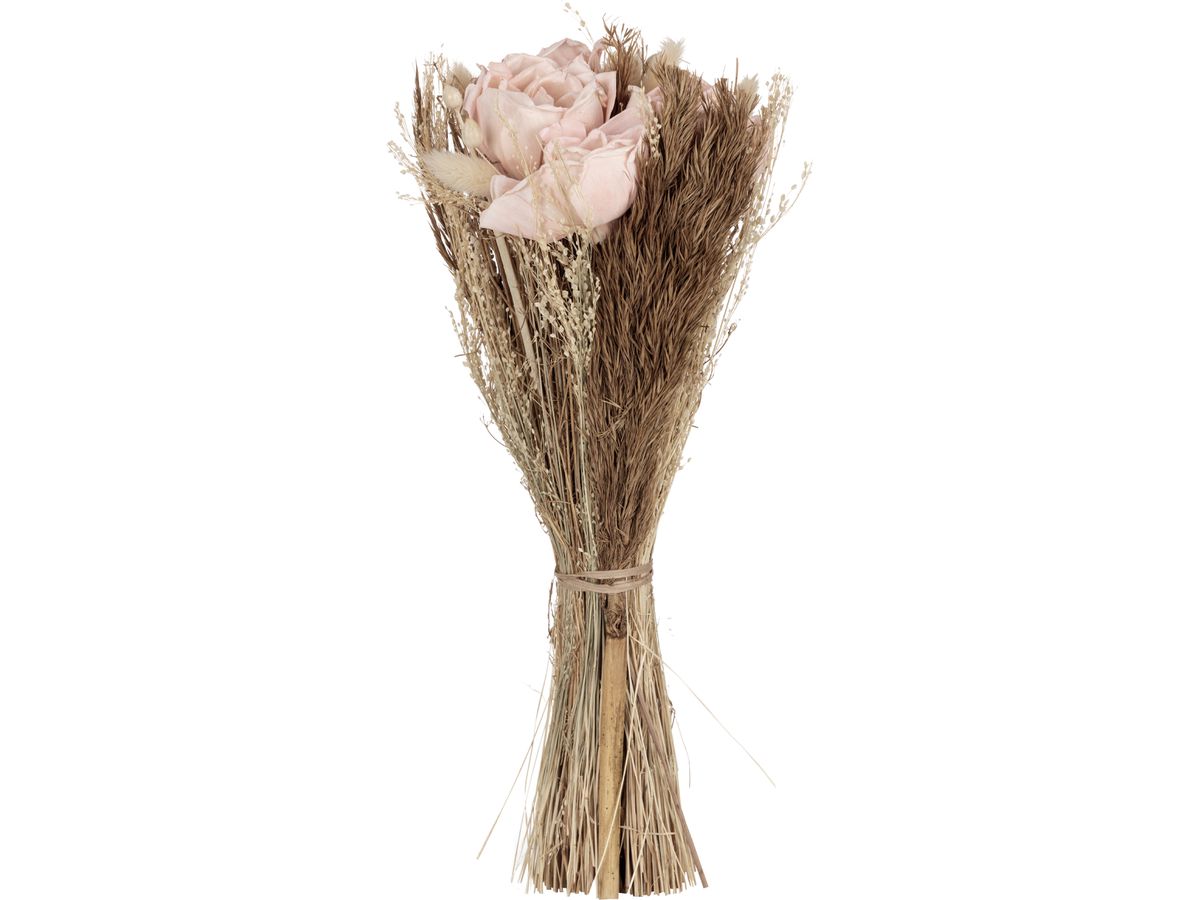 EGLO Trockenblumen CARAQUET 428153 apricot (9008606282036)