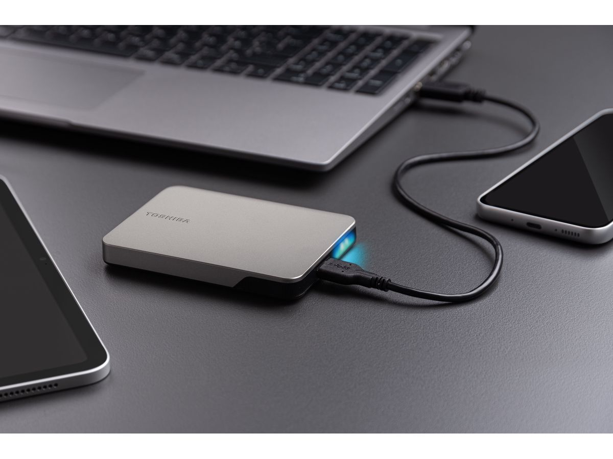 TOSHIBA HDD CANVIO Flex 1TB HDTX210ESCAA USB 3.2 2.5 inch warm silver (4260557513262)