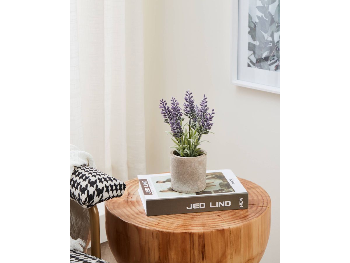 EGLO Pianta artificiale 22cm 428031 verde, in vaso (9008606253487)