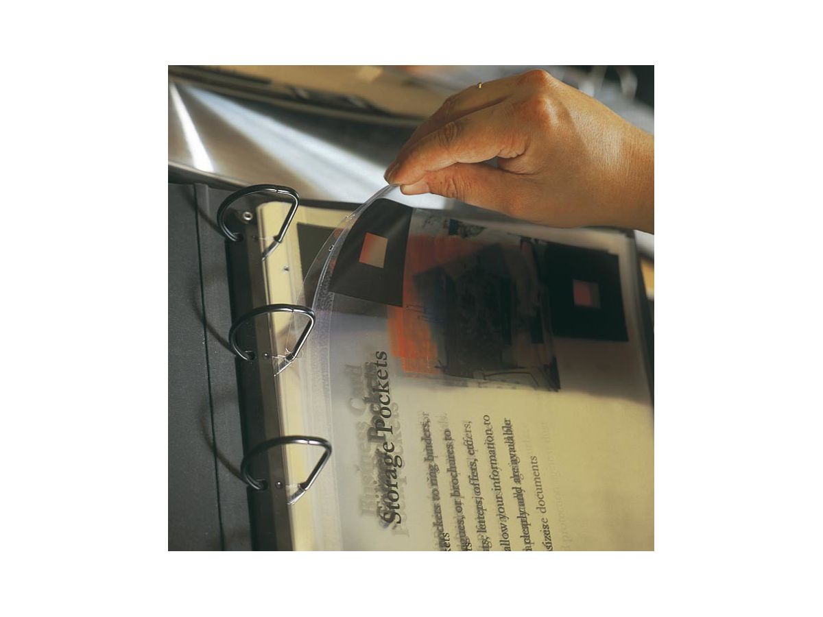 3L Etichette classific. A5/125mm 8802-50 foratura univer. 50 pezzi (5701193880251)