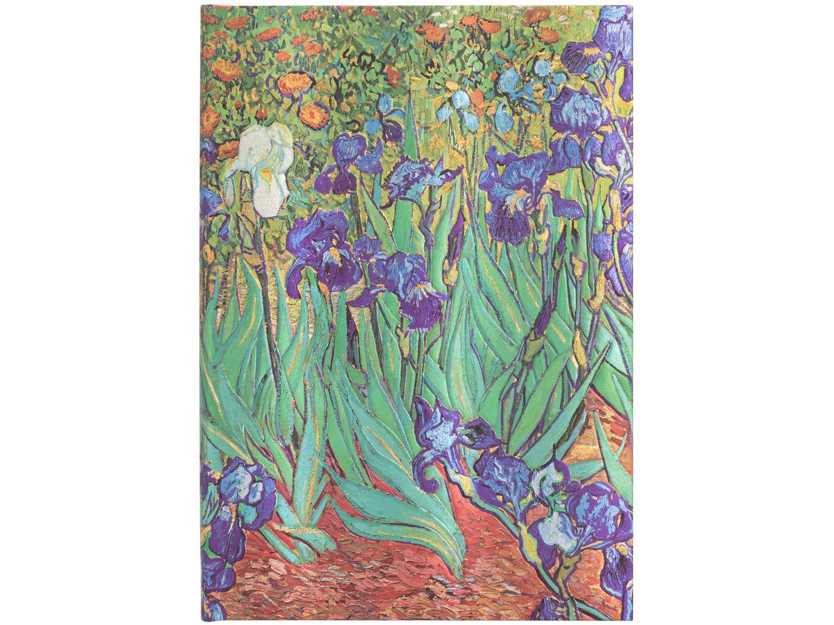 PAPERBLANKS Notizbuch Van Goghs Midi PB8205-7 blanko 144 Seiten (9781439782057)