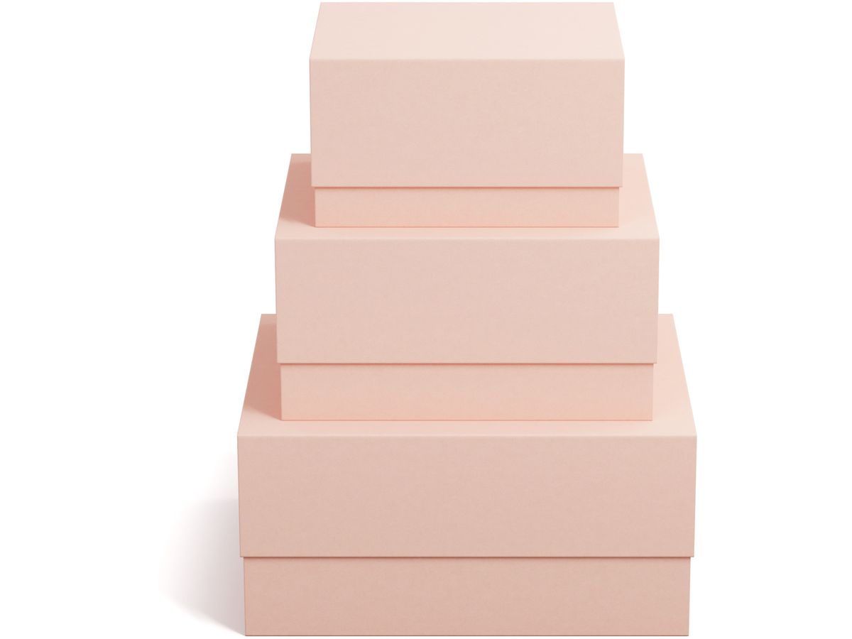 BIGSO BOX OF SWEDEN Boîte de rangement Ilse 345352133 dusty pink 3er-Set (7330061084071)