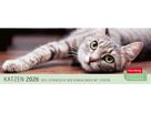 HARENBERG Pultkalender 2026 3310235+26 Katzen 29.9x11.1cm (9783840038020)