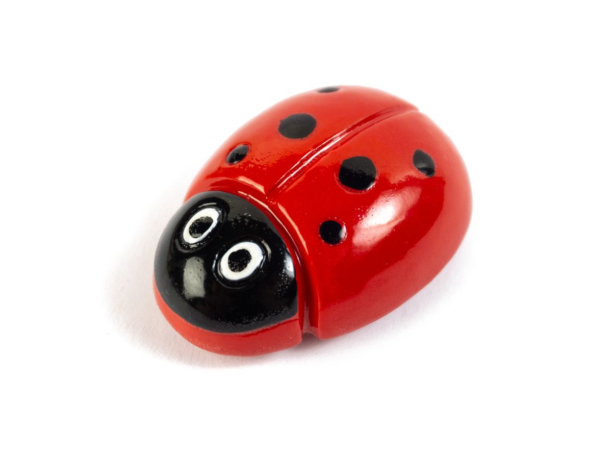 ROOST Magnet Marienkäfer 4x3cm PA-M2476 rot, schwarz (7640420952676)