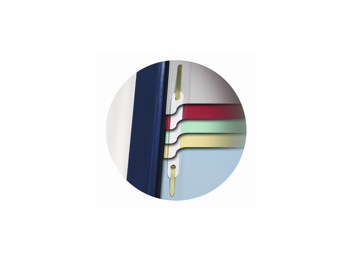 DURABLE Organisationsheft. Divisioflex 255706 für 100 Blatt A4,5-teilig blau (4005546269108)