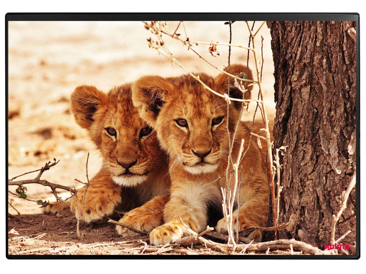 KOLMA Sous-main 35.550.20 Lion 50x34cm (7611967350423)