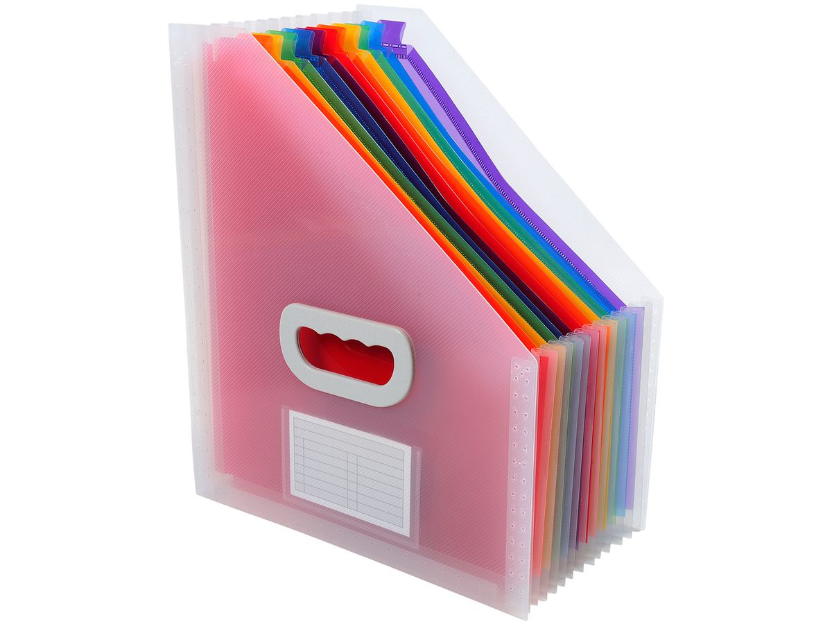 EXACOMPTA Portariviste Crystal A4 55598E trasparente, 12 x (3130630555988)