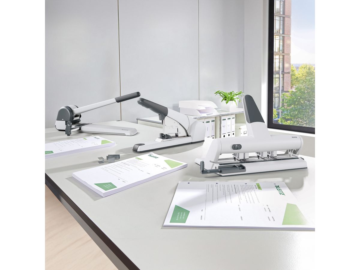 LEITZ Mehrfachlocher AKTO 4-6/6mm 51140084 hellgrau 30 Blatt (4002432364046)