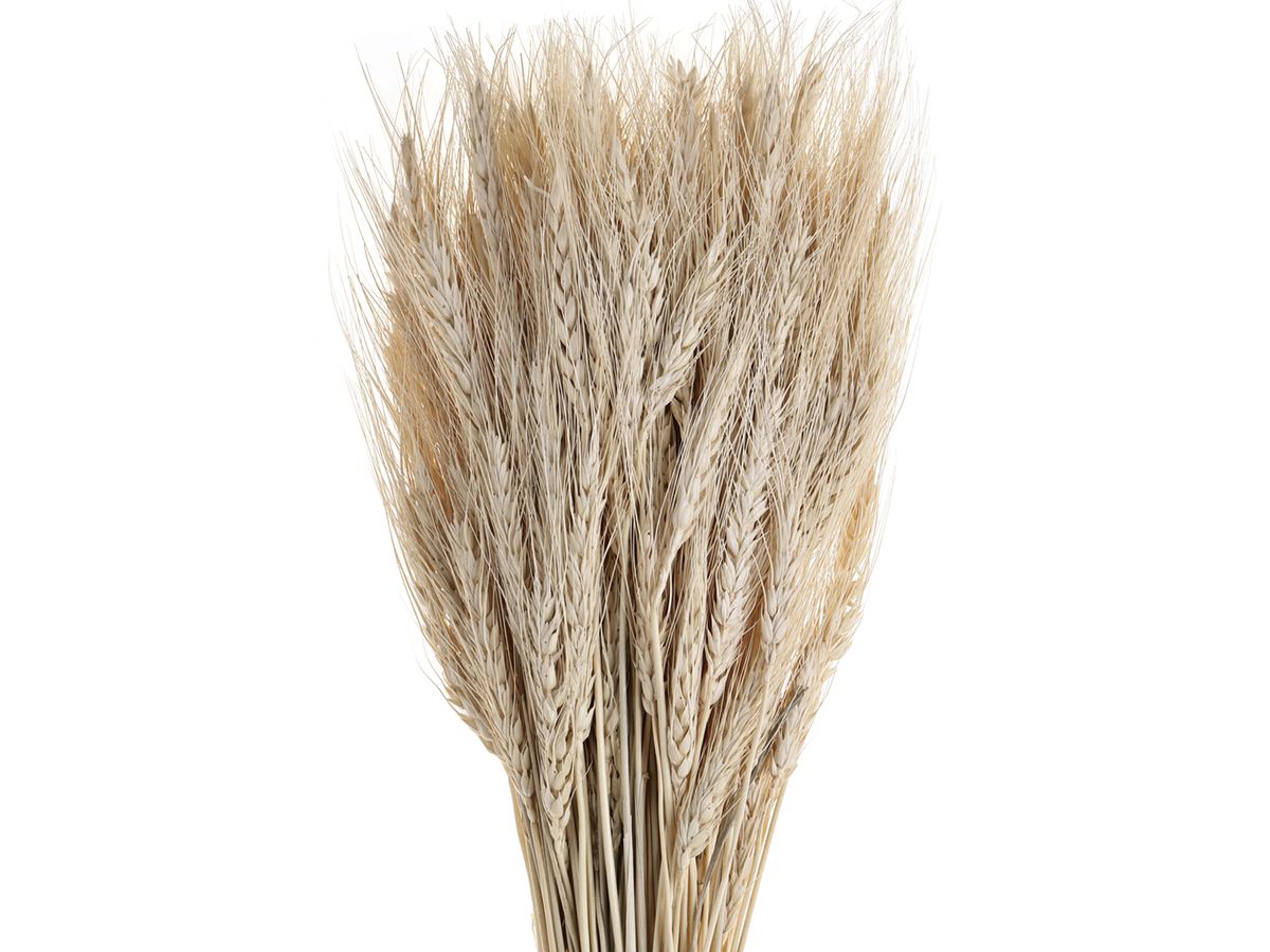 EGLO Fleur séchée 60cm 428041 beige (9008606258659)